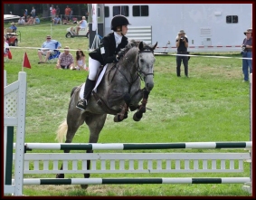 Horse Sold