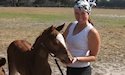 horse, equine, equestrian, riding, dressage, training