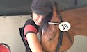horse, equine, equestrian, riding, dressage, training
