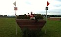 horse, equine, equestrian, riding, dressage, training