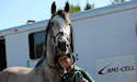 horse, equine, equestrian, riding, dressage, training
