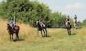 horse, equine, equestrian, riding, dressage, training