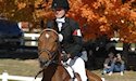 horse, equine, equestrian, riding, dressage, training