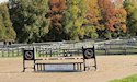 horse, equine, equestrian, riding, dressage, training