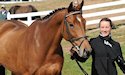 horse, equine, equestrian, riding, dressage, training