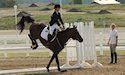 horse, equine, equestrian, riding, dressage, training