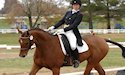horse, equine, equestrian, riding, dressage, training