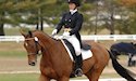 horse, equine, equestrian, riding, dressage, training