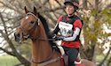 horse, equine, equestrian, riding, dressage, training