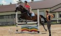 horse, equine, equestrian, riding, dressage, training