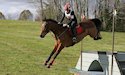 horse, equine, equestrian, riding, dressage, training
