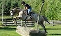 horse, equine, equestrian, riding, dressage, training