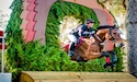 horse, equine, equestrian, riding, dressage, training
