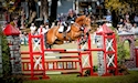 horse, equine, equestrian, riding, dressage, training