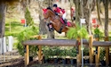 horse, equine, equestrian, riding, dressage, training