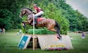 horse, equine, equestrian, riding, dressage, training