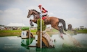 horse, equine, equestrian, riding, dressage, training
