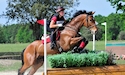 horse, equine, equestrian, riding, dressage, training