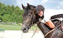 horse, equine, equestrian, riding, dressage, training